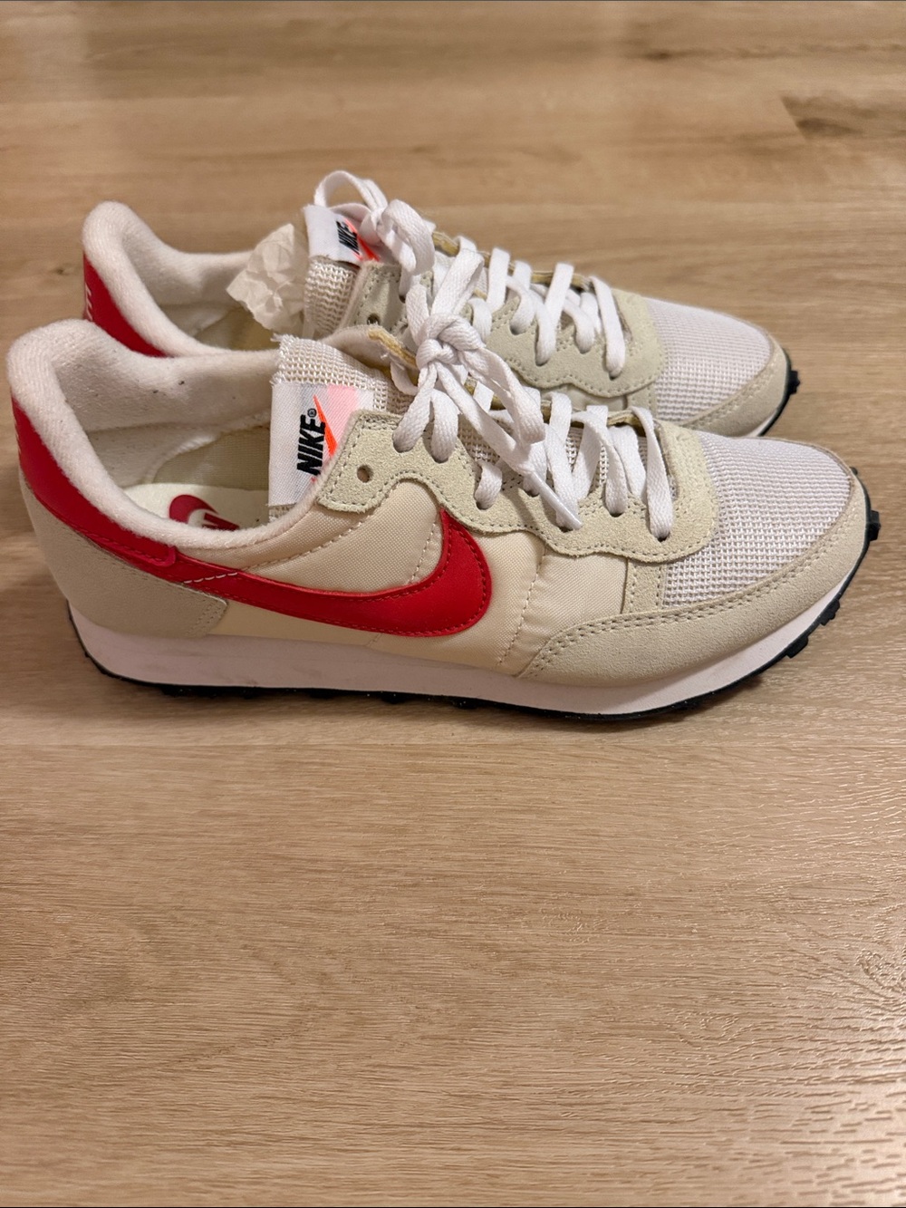 Nike Challenger OG Shoes